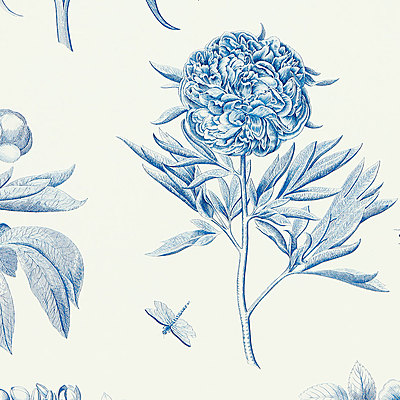 Etchings & Roses China Blue