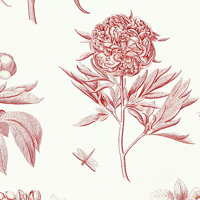 Etchings & Roses Amanpuri Red