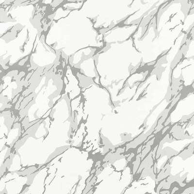 French Marble Empire Grey / Perfect White