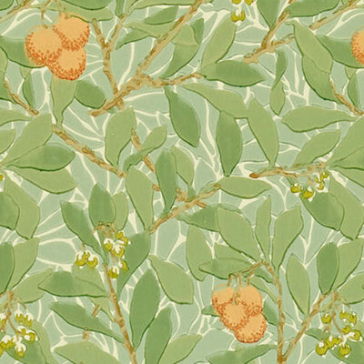 Arbutus Green/Terracotta