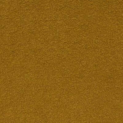 Orlando Ochre