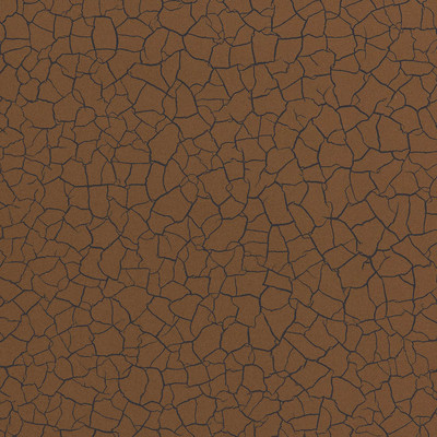 Cracked Earth Sahara