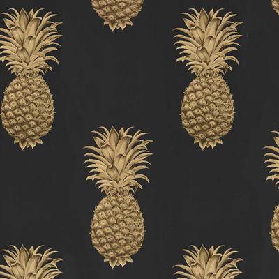 Pineapple Royale Graphite/Gold